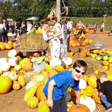 Hall’s Pumpkin Farm